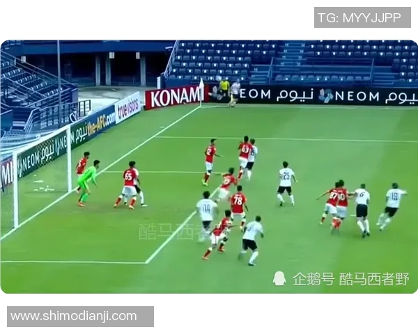 广州排球队阵地战革新之路探索与实践的深度剖析