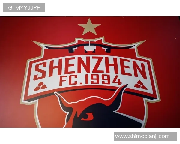 深圳羽毛球队逆袭世界杯预选赛的辉煌历程与奋斗精神